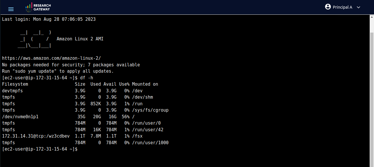 _images/AmazonEFS_PClusterMounting.png