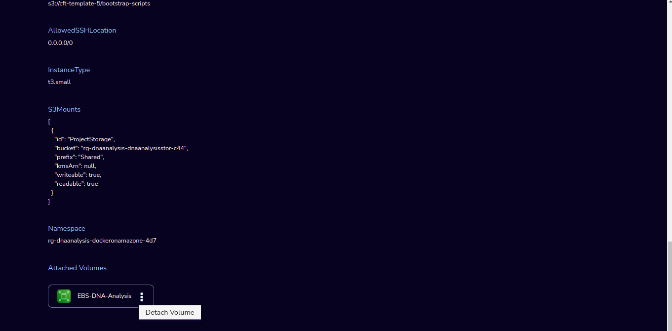 _images/Docker_AttachVolume_4.png