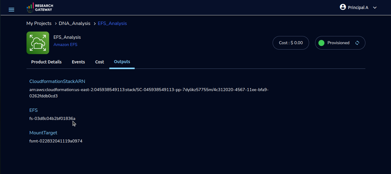 _images/EFS_Outputs_filesystemid.png