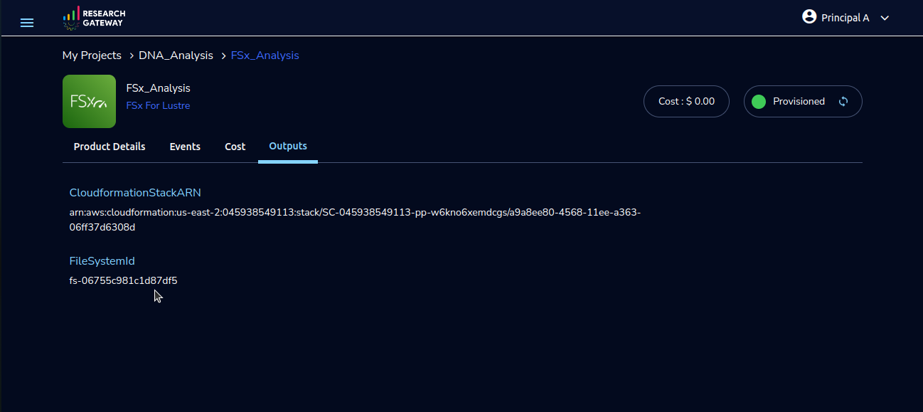_images/FSx_Outputs_filesystemid.png