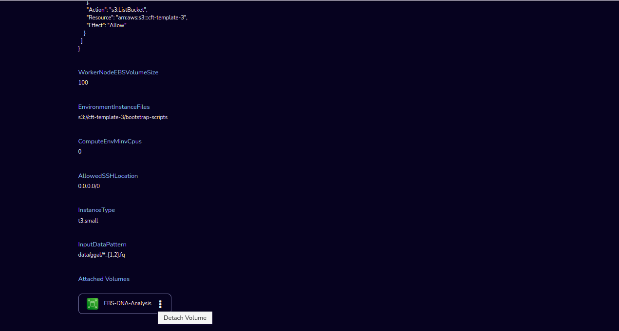 _images/Nextflow_AttachVolume_4.png