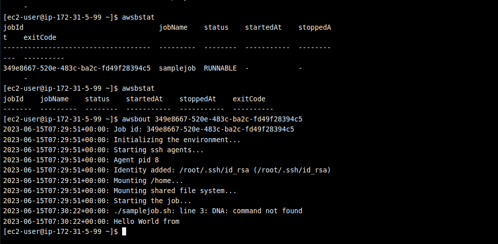 _images/Pcluster_awsbatch_RunJOB_output.png